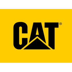 ARMADURA CATERPILLAR DELCO 50MT 24 VOLTS FLECHA CORTA L 483 mm 19 ASTRIAS  OEM. 61-124 1945840 5040-2097