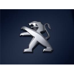 ARNES BULBO TEMPERATURA NISSAN PLATINA RENAULT CLIO SCENIC MOTOR TRAFIC RENAULT 3 TERMINALES