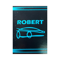 BENDIX ROBERT FORD TRITON 11 DIENTES PG260 CHEVROLET  ESPECIAL  OEM.