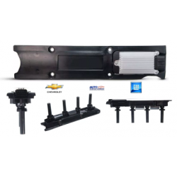BOBINA PONTIAC GRAND AM ALERO SUNFIRE CHEVROLET CAVALIER 2002-2005 MALIBU 2004-2006 ASTRA 2001-2003 HHR 2006 INCLUYE MODULO  OEM