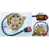 MOTOR VENTILADOR PEUGEOT 206 PARTNER 1.6L 2 TERMINALES AL CONECTOR OEM 45234 333